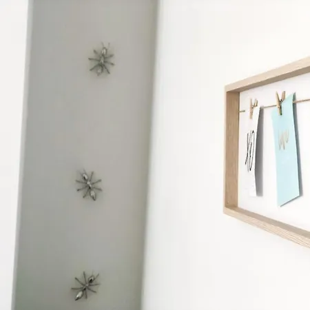 Cactus Appartement