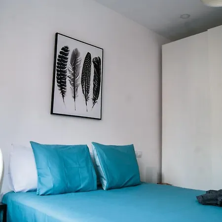 Apartment Cactus